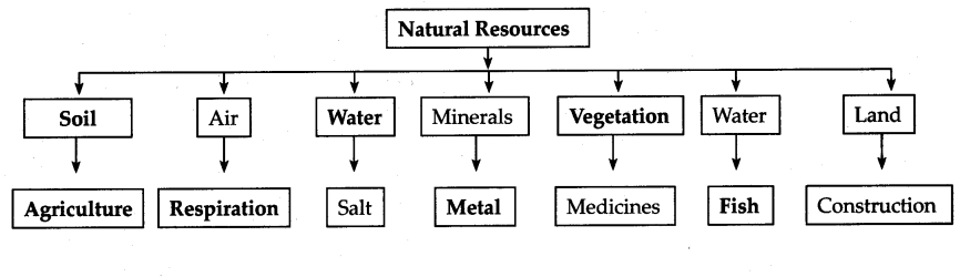 Maharashtra-Board-Class-6-Geography-Solutions-Chapter-8-Natural-Resources-2