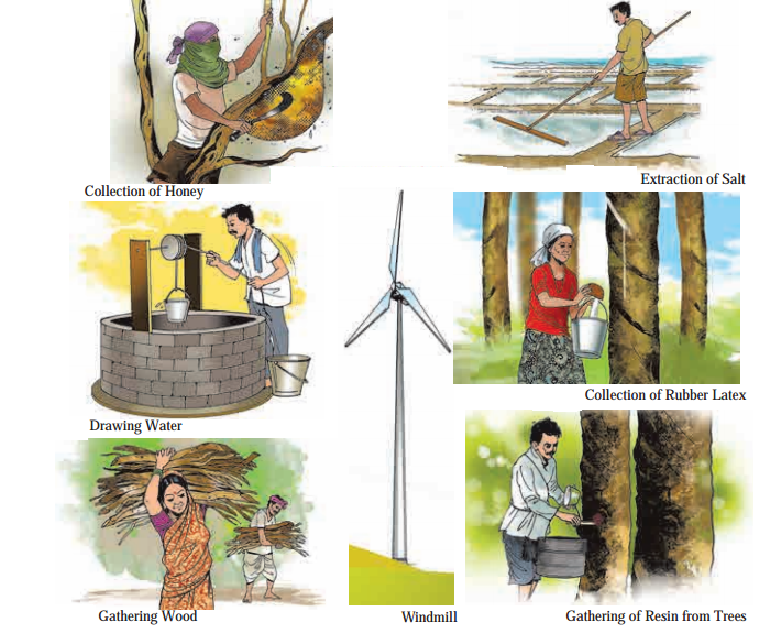 Maharashtra-Board-Class-6-Geography-Solutions-Chapter-8-Natural-Resources-5