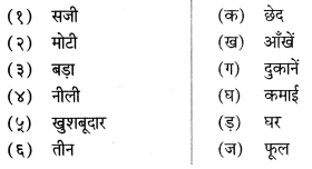 Maharashtra-Board-Class-6-Hindi-Solutions-Chapter-3-कठपुतली-10