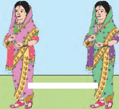 Maharashtra-Board-Class-6-Hindi-Solutions-Chapter-5-अ-आओ-आयु-बताना-सीखो-ब-महाराष्ट्र-की-बेटी-1