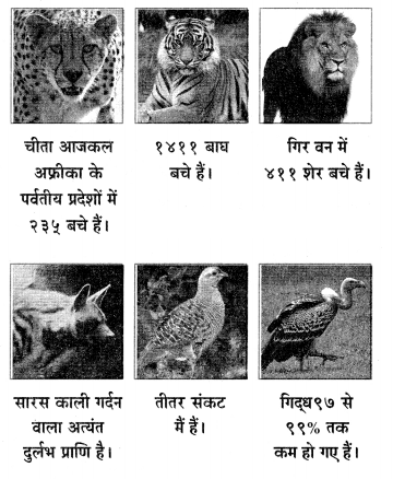 Maharashtra-Board-Class-6-Hindi-Solutions-Chapter-8-टीटू-और-चिंकी-3