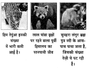 Maharashtra-Board-Class-6-Hindi-Solutions-Chapter-8-टीटू-और-चिंकी-4