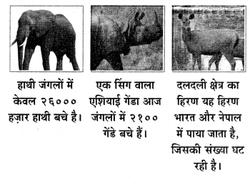 Maharashtra-Board-Class-6-Hindi-Solutions-Chapter-8-टीटू-और-चिंकी-5