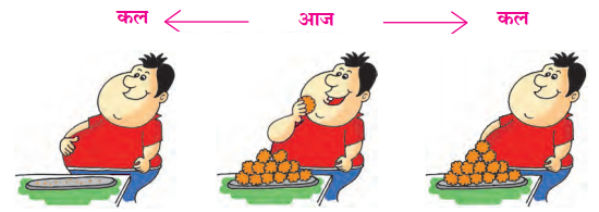 Maharashtra-Board-Class-6-Hindi-Solutions-Chapter-9-वह-देश-कौन-सा-है-1