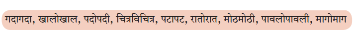 Maharashtra-Board-Class-6-Marathi-Solutions-Chapter-11-मिनूचा-जलप्रवास-4