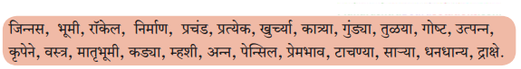 Maharashtra-Board-Class-6-Marathi-Solutions-Chapter-13-मोठी-आई-1