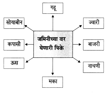 Maharashtra-Board-Class-6-Marathi-Solutions-Chapter-13-मोठी-आई-10.4