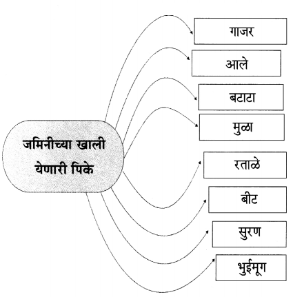 Maharashtra-Board-Class-6-Marathi-Solutions-Chapter-13-मोठी-आई-5