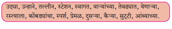 Maharashtra-Board-Class-6-Marathi-Solutions-Chapter-2-माझा-अनुभव-2