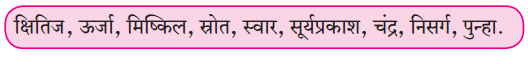 Maharashtra-Board-Class-6-Marathi-Solutions-Chapter-6-हे-खरे-खरे-व्हावे-5