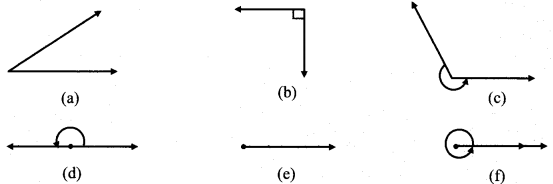 Maharashtra-Board-Class-6-Maths-Solutions-Chapter-2-Angles-Practice-Set-2-1