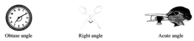 Maharashtra-Board-Class-6-Maths-Solutions-Chapter-2-Angles-Practice-Set-2-4