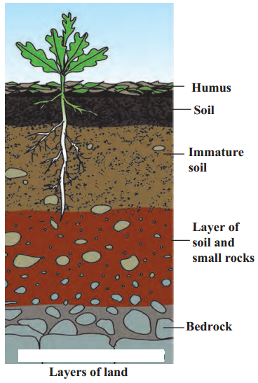 Maharashtra-Board-Class-6-Science-Solutions-Chapter-1-Natural-Resources-Air-Water-and-Land-3