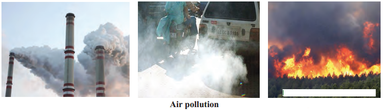 Maharashtra-Board-Class-6-Science-Solutions-Chapter-1-Natural-Resources-Air-Water-and-Land-5