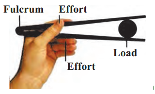 Maharashtra-Board-Class-6-Science-Solutions-Chapter-12-Simple-Machines-4