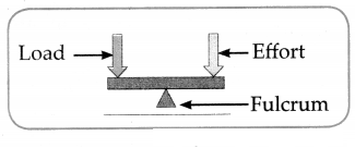 Maharashtra-Board-Class-6-Science-Solutions-Chapter-12-Simple-Machines-6