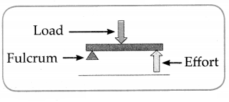 Maharashtra-Board-Class-6-Science-Solutions-Chapter-12-Simple-Machines-7