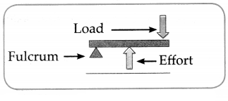 Maharashtra-Board-Class-6-Science-Solutions-Chapter-12-Simple-Machines-8