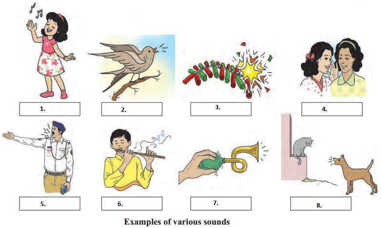 Maharashtra-Board-Class-6-Science-Solutions-Chapter-13-Sound-1