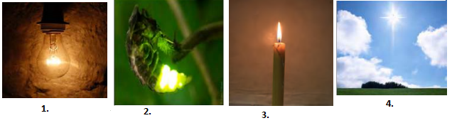 Maharashtra-Board-Class-6-Science-Solutions-Chapter-14-Light-and-the-Formation-of-Shadow-4