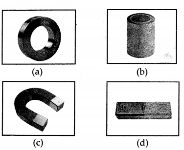 Maharashtra-Board-Class-6-Science-Solutions-Chapter-15-Fun-with-Magnets-4