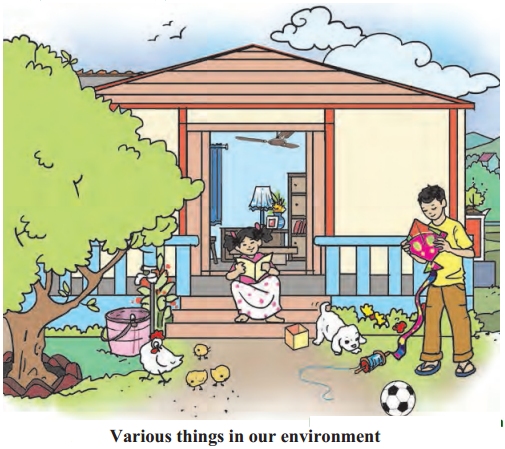 Maharashtra-Board-Class-6-Science-Solutions-Chapter-2-The-Living-World-4