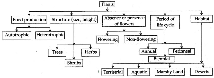 Maharashtra-Board-Class-6-Science-Solutions-Chapter-3-Diversity-in-Living-Things-and-their-Classification-1