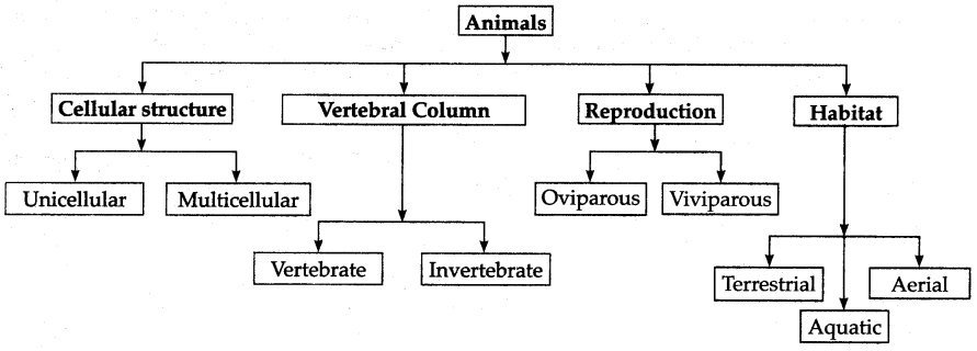 Maharashtra-Board-Class-6-Science-Solutions-Chapter-3-Diversity-in-Living-Things-and-their-Classification-2