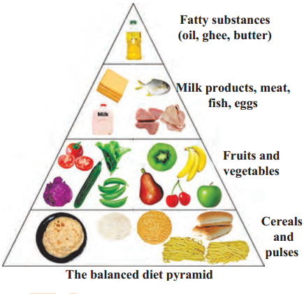 Maharashtra-Board-Class-6-Science-Solutions-Chapter-7-Nutrition-and-Diet-1