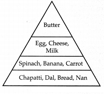 Maharashtra-Board-Class-6-Science-Solutions-Chapter-7-Nutrition-and-Diet-4