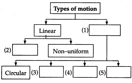 Maharashtra-Board-Class-6-Science-Solutions-Chapter-9-Motion-and-Types-of-Motion-2
