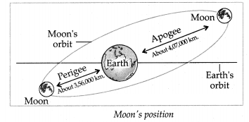 Maharashtra-Board-Class-7-Geography-Solutions-Chapter-2-The-Sun-the-Moon-and-the-Earth-7