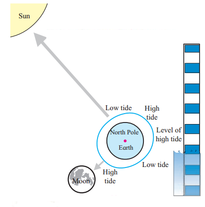 Maharashtra-Board-Class-7-Geography-Solutions-Chapter-3-Tides-1