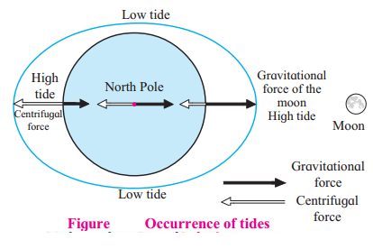 Maharashtra-Board-Class-7-Geography-Solutions-Chapter-3-Tides-5