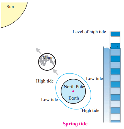 Maharashtra-Board-Class-7-Geography-Solutions-Chapter-3-Tides-7