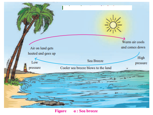 Maharashtra-Board-Class-7-Geography-Solutions-Chapter-5-Winds-9