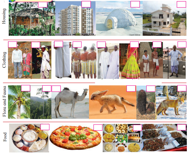 Maharashtra-Board-Class-7-Geography-Solutions-Chapter-6-Natural-Regions-5
