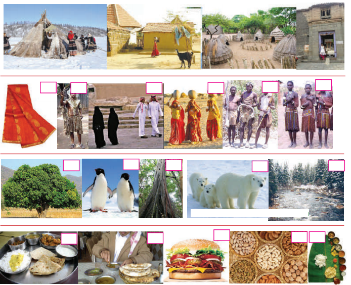 Maharashtra-Board-Class-7-Geography-Solutions-Chapter-6-Natural-Regions-6
