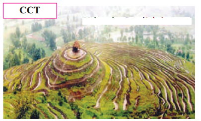 Maharashtra-Board-Class-7-Geography-Solutions-Chapter-7-Soils-2
