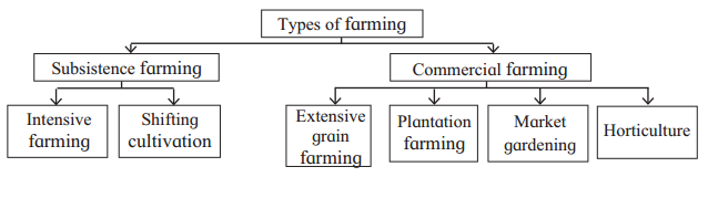 Maharashtra-Board-Class-7-Geography-Solutions-Chapter-9-Agriculture-1