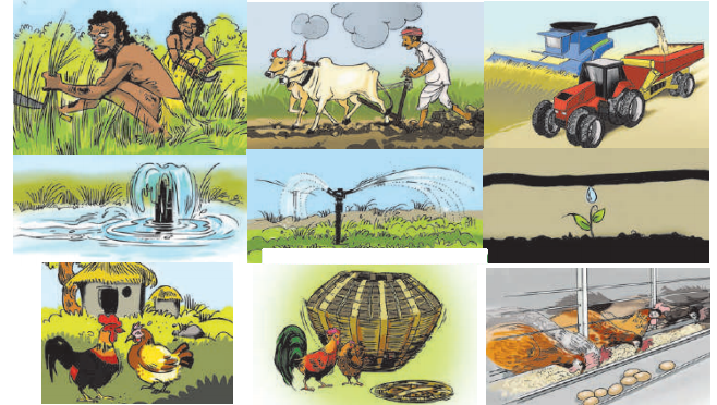 Maharashtra-Board-Class-7-Geography-Solutions-Chapter-9-Agriculture-3