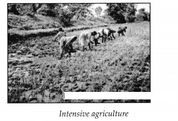 Maharashtra-Board-Class-7-Geography-Solutions-Chapter-9-Agriculture-7
