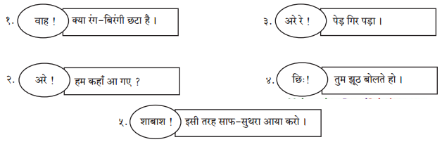 Maharashtra-Board-Class-7-Hindi-Solutions-Chapter-6-चंदा-मामा-की-जय-3