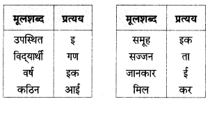 Maharashtra-Board-Class-7-Hindi-Solutions-Chapter-7-जहॉं-चाह-वहाँ-राह-10