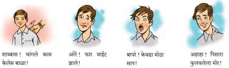 Maharashtra-Board-Class-7-Marathi-Solutions-Chapter-10-पंडिता-रमाबाई-3