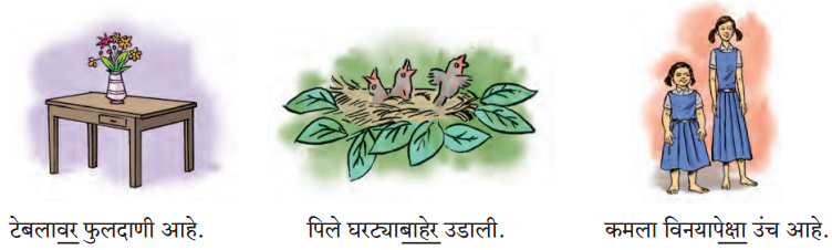 Maharashtra-Board-Class-7-Marathi-Solutions-Chapter-7.1-आजारी-पडण्याचा-प्रयोग-10