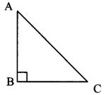 Maharashtra-Board-Class-7-Maths-Solutions-Chapter-13-Pythagoras-Theorem-Practice-Set-48-5