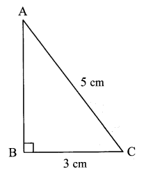 Maharashtra-Board-Class-7-Maths-Solutions-Chapter-13-Pythagoras-Theorem-Practice-Set-48-9