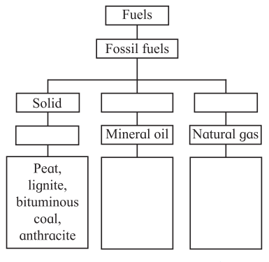 Maharashtra-Board-Class-7-Science-Solutions-Chapter-16-Natural-Resources-1