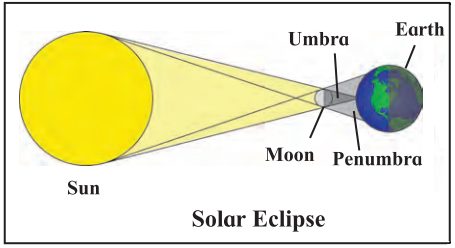 Maharashtra-Board-Class-7-Science-Solutions-Chapter-17-Effects-of-Light-3